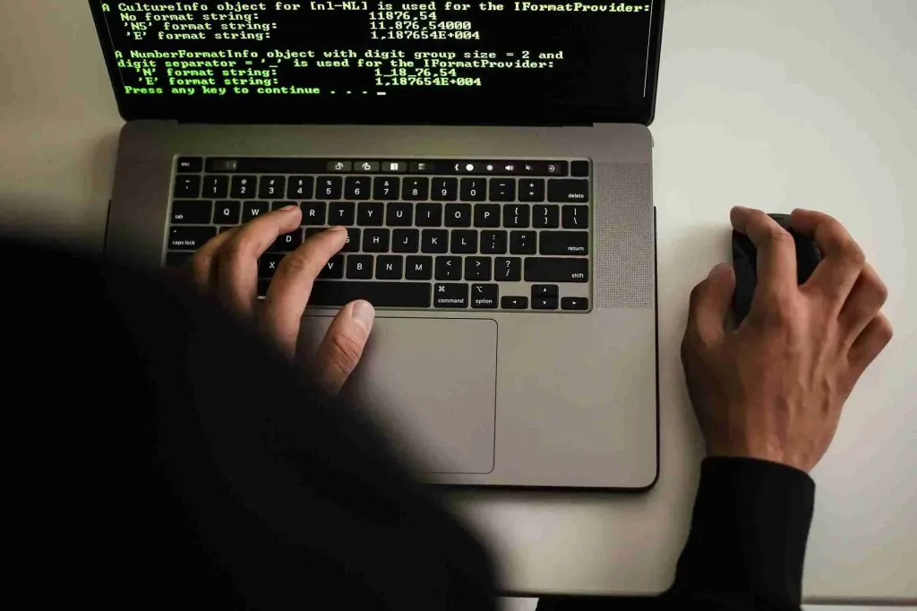 Examples of Web-Based System Development in Action