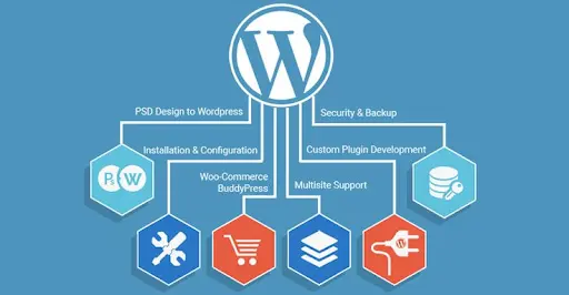 Custom SEO Strategies for Different Types of WordPress Sites