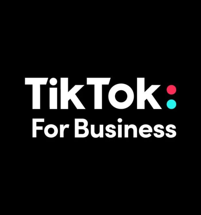 Is It Worth Using TikTok for Business?